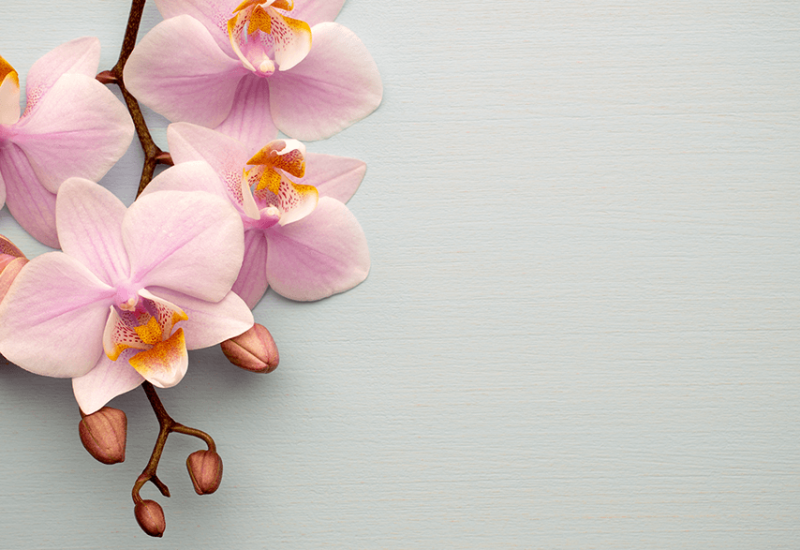 AdobeStock_119250732