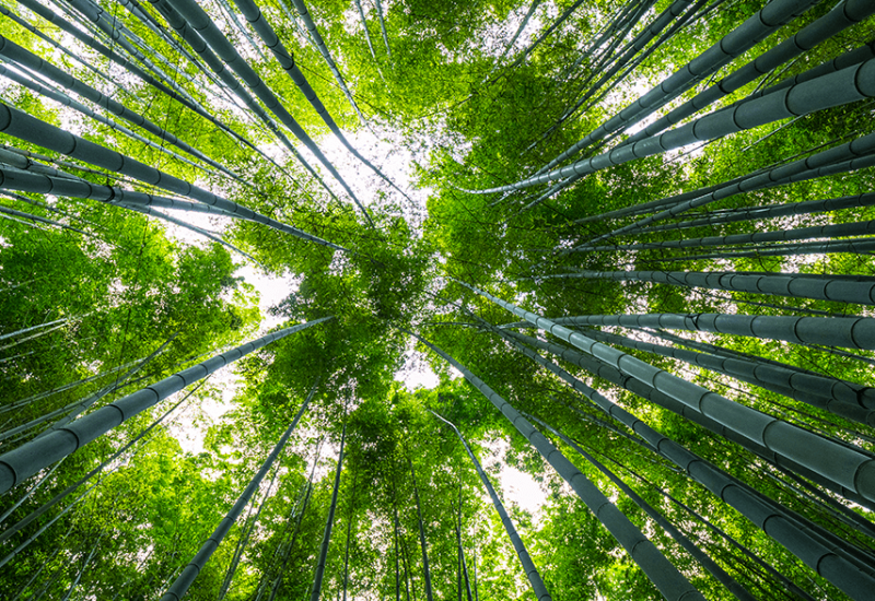 AdobeStock_210991111